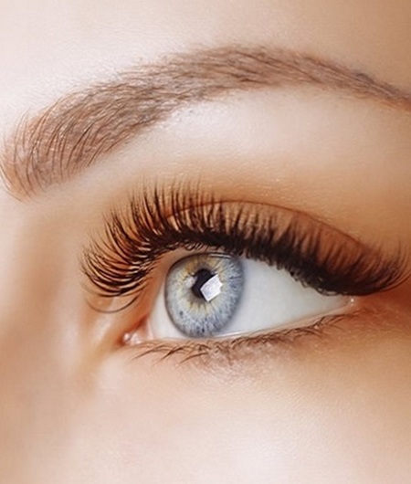 LASHES & BROWS